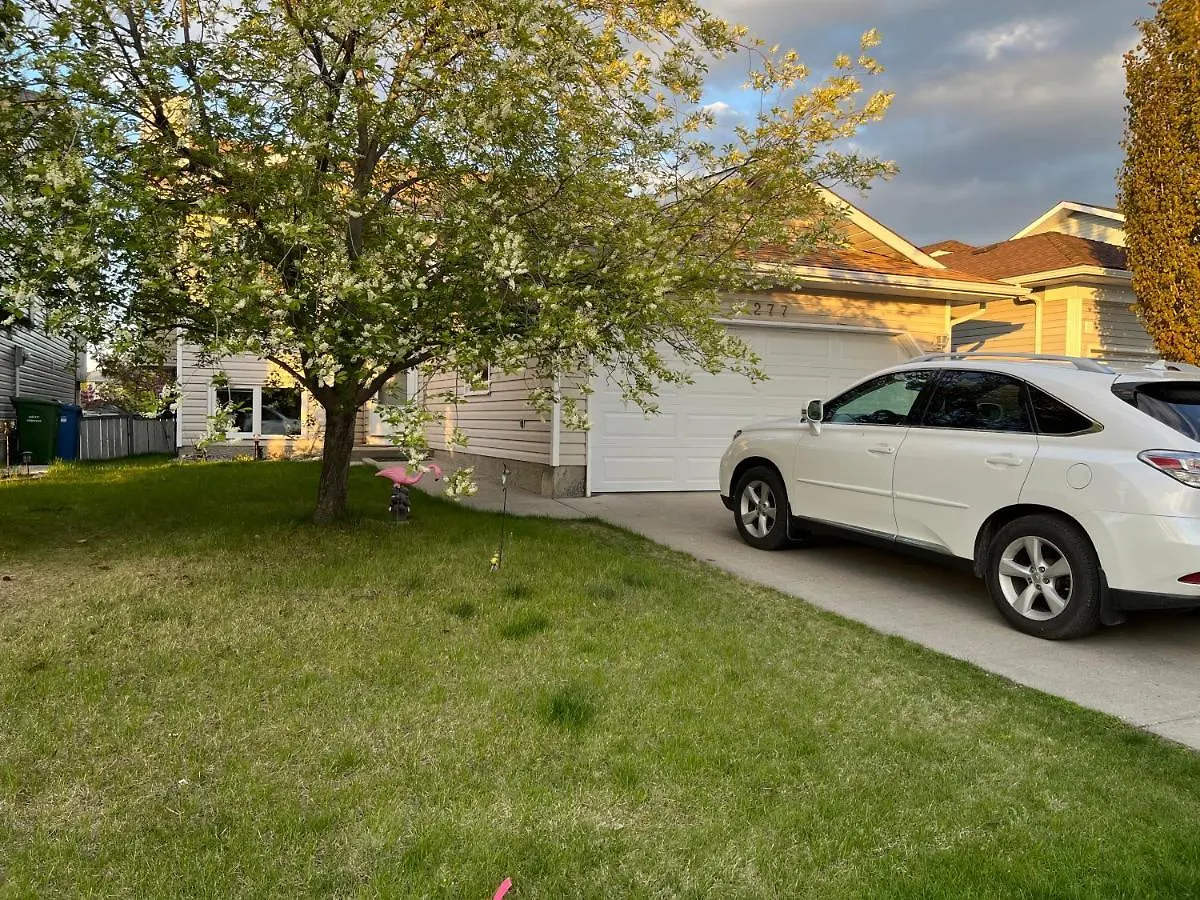 Citadel Hill Cr Community! Apartment Calgary Homestay